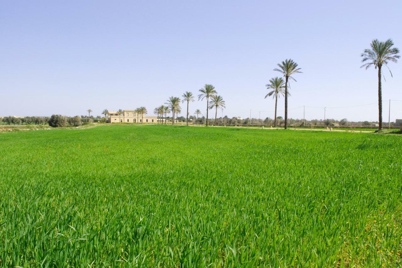 Masseria Galatea Agriturismo 阿莱萨诺 外观 照片